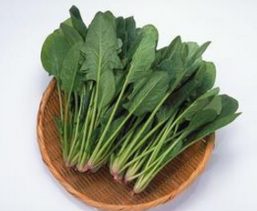 吃什么食物可以長高