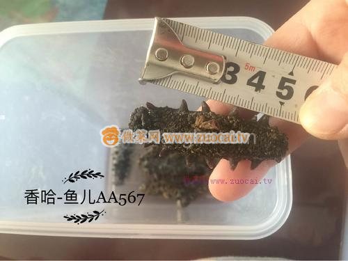 發(fā)海參的做法