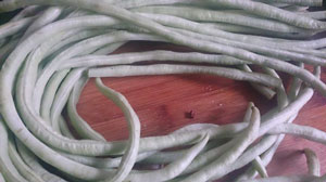 家庭腌制酸豇豆的方法，自己腌制酸豇豆很簡單