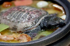 發(fā)菜,發(fā)菜的做法,發(fā)菜怎么吃