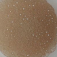 芒果西米露的做法圖解1