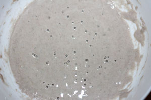 黑麥天然酵種養(yǎng)成方法及成功要點(diǎn)