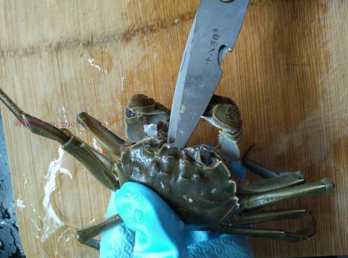 紫蘇蒸毛蟹的做法