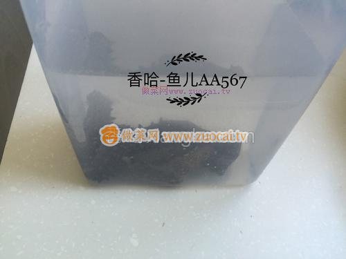 發(fā)海參的做法