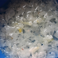 我和霧霾作斗爭---山里紅銀耳玫瑰飲的做法圖解2