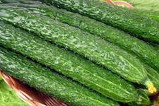 腌黃瓜的做法大全