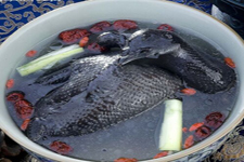 烏雞湯的做法大全,烏雞湯怎么做