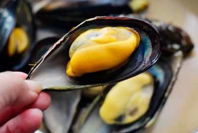新鮮貽貝怎么洗干凈，貽貝的正確清洗方法