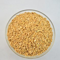 浮小麥和小麥的區(qū)別有哪些 浮小麥和小麥的功效有什么不同