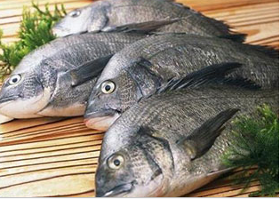 怎樣讓買來(lái)的活魚多放幾天？ 讓買來(lái)的活魚多放幾天的竅門