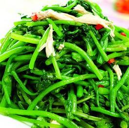 蒜蓉炒西洋菜的家常做法 蒜蓉炒西洋菜這樣做超好吃！