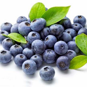 藍(lán)莓