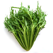 苦細(xì)葉生菜