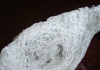 怎么去燕窩毛 輕松就能去掉燕毛方法