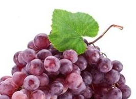 手腳冰涼是氣虛 女人必選冬季進(jìn)補(bǔ)食物