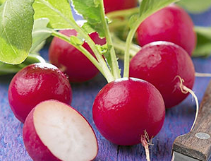 冬天的吃對蘿卜才賽人參 白蘿卜的作用與功效