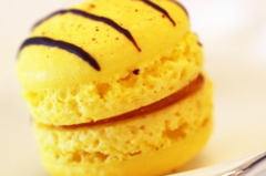 芒果馬卡龍的做法視頻