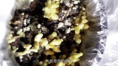 中國(guó)人的零：第三集大地的滋味