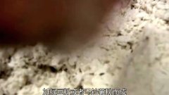 面條之路第4集連接亞洲人的廚房