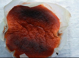 紅酒味半熟蛋糕的做法 紅酒味的半熟蛋糕怎么做好吃