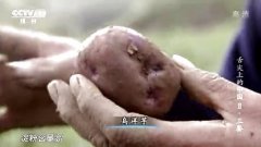 舌尖上的中國(guó)第二季：三餐