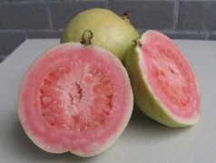 芭樂怎么吃圖解