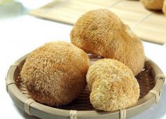 干猴頭菇怎么吃
