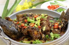 鯰魚(yú)的做法大全