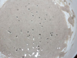 養(yǎng)成黑麥天然酵種的方法及成功要點(diǎn)