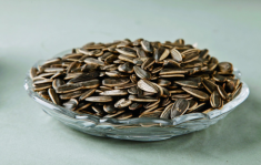 瓜子吃多了會(huì)上火嗎 吃瓜子為什么會(huì)上火