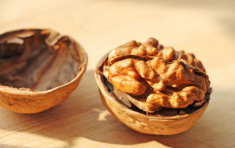 吃核桃牙齒變黑怎么回事 吃核桃牙齒變黑怎么辦