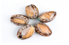 鮑魚不能和什么一起吃 鮑魚什么人不能吃