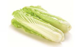 冬天吃白菜好嗎 冬天吃白菜能減