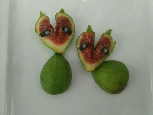 無(wú)花果小浣熊