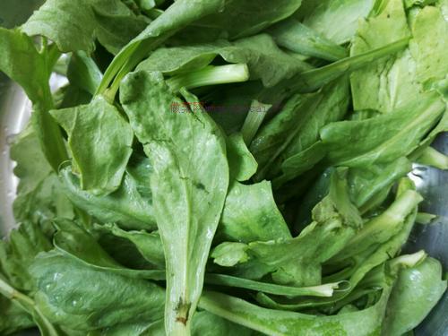 寶寶面條的做法