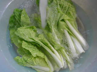 蒜香五號(hào)菜