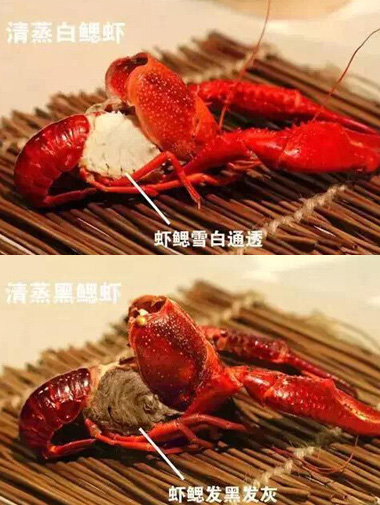 小龍蝦怎么快速剝殼 小龍蝦的剝法圖解