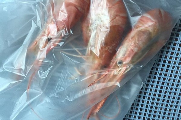 鹽焗烤蝦干的做法