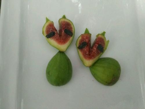 無(wú)花果小浣熊