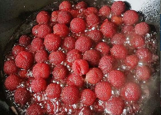 自制梅準(zhǔn)兒牌仙居楊梅干的做法