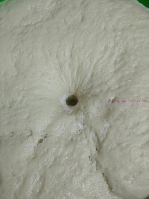 豆角肉餡包子的做法