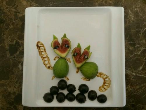 無(wú)花果小浣熊