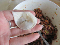 胡蘿卜鮮肉餛飩的做法步驟11