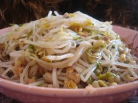 涼拌自發(fā)綠豆芽的做法步驟15