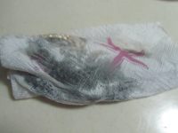 鯽魚蘿卜湯的做法步驟2