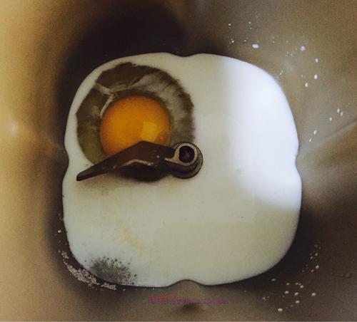 牛奶軟吐司面包的做法