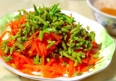 柳芽涼拌胡蘿卜絲，清熱敗火又補(bǔ)充維生素