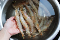 油燜對(duì)蝦的做法步驟1