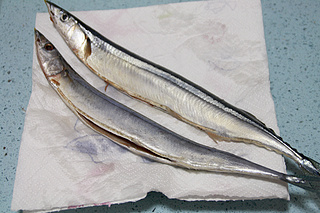 干煎秋刀魚