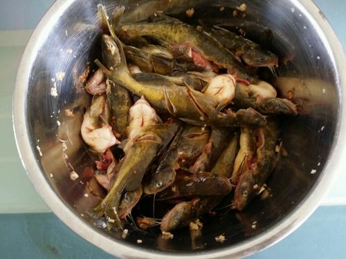 泡椒魚的做法
